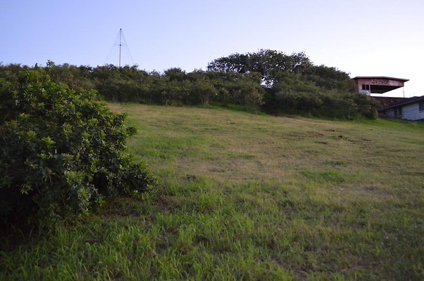 th DSC 0604 th DSC 0604