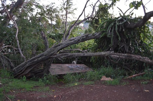 th DSC 0563 th DSC 0563