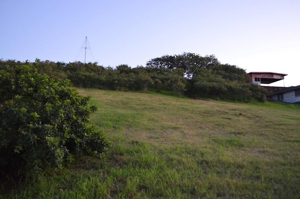 th DSC 0605 th DSC 0605