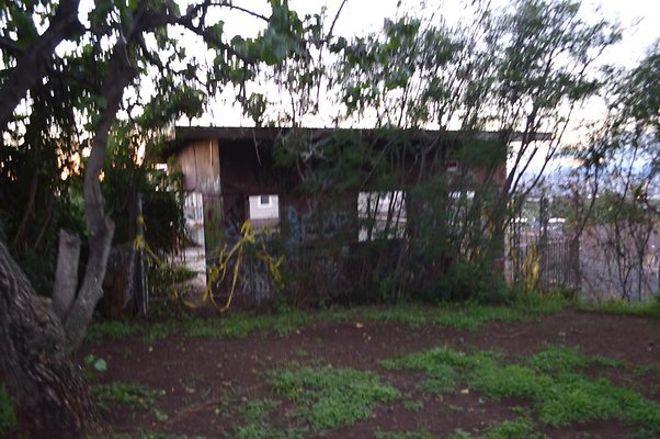 th DSC 0566 th DSC 0566