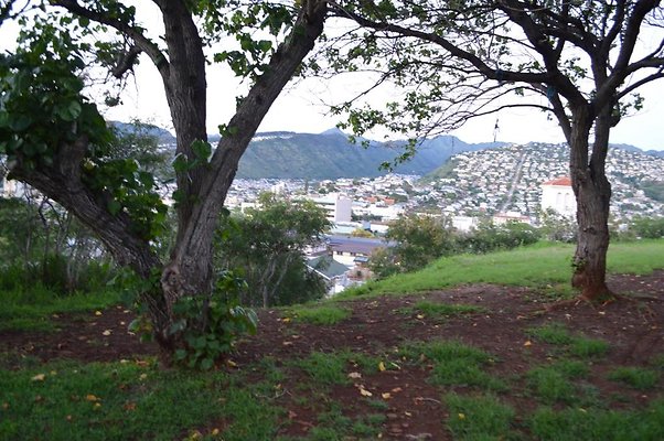 th DSC 0588 th DSC 0588