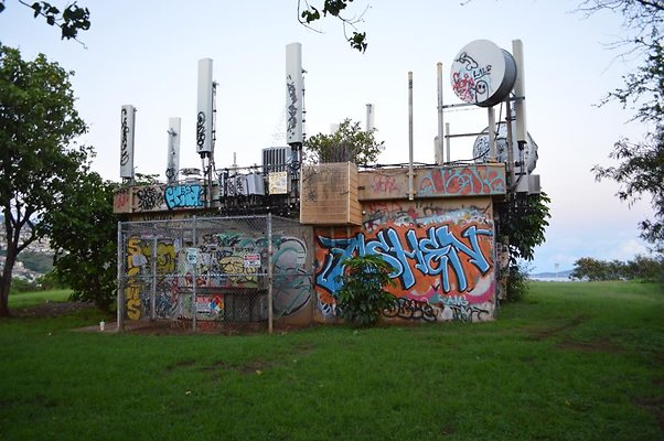 th DSC 0564 th DSC 0564