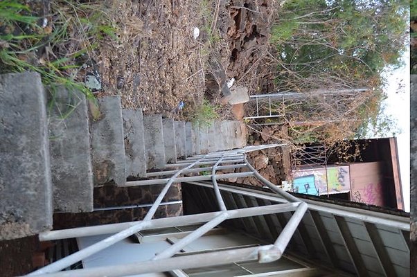 th DSC 0554 th DSC 0554