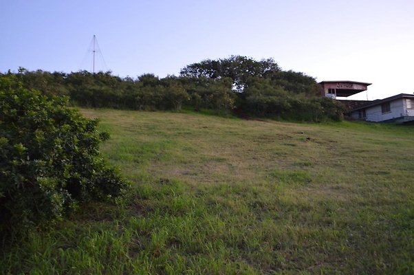 th DSC 0603 th DSC 0603