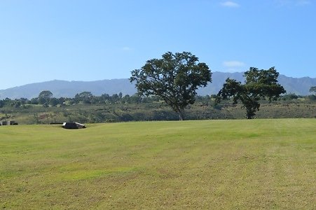 th DSC 0330 th DSC 0330