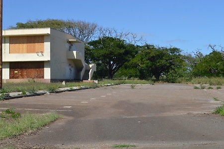 th DSC 0317 th DSC 0317