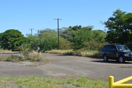 th DSC 0319 th DSC 0319