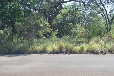 th DSC 0321 th DSC 0321