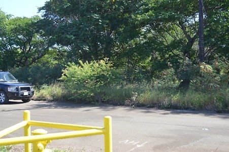 th DSC 0320 th DSC 0320