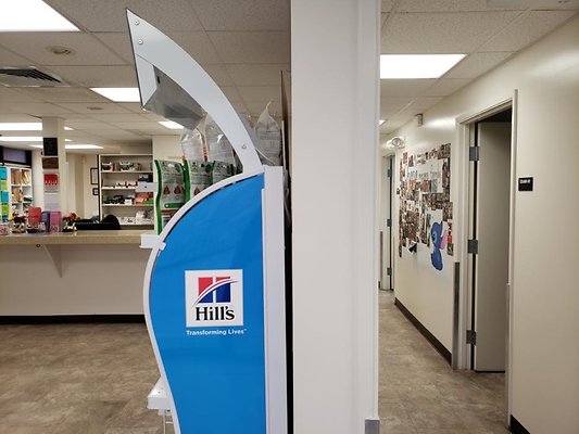 th 20190625 163941 th 20190625 163941