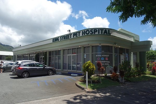 King St Pet Hospital 2016 S King St Susan 808.951.7777
