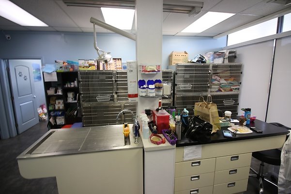 th IMG 4979 th IMG 4979