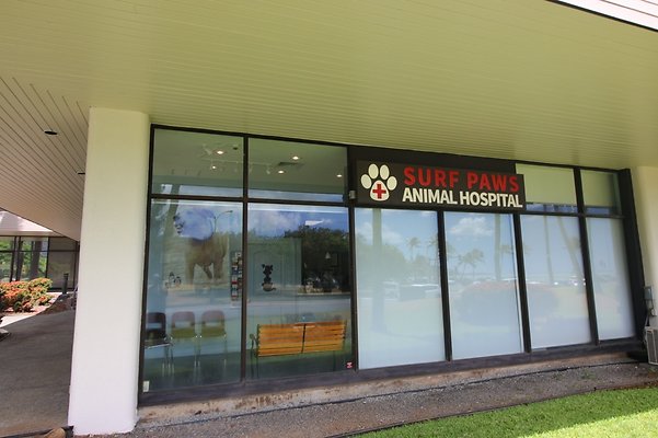 th IMG 4987 th IMG 4987