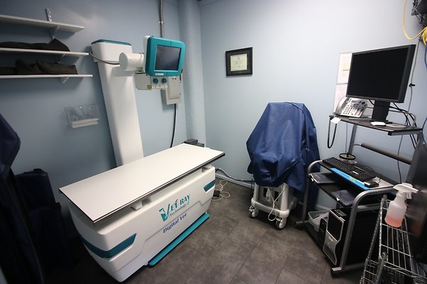 th IMG 4972 th IMG 4972