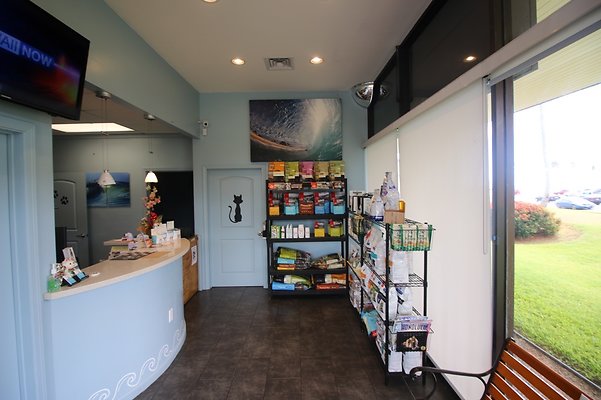 th IMG 4966 th IMG 4966