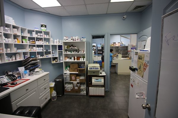 th IMG 4983 th IMG 4983