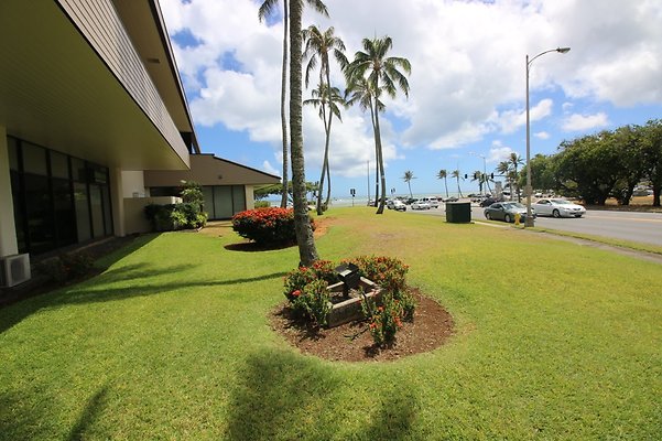 th IMG 4988 th IMG 4988