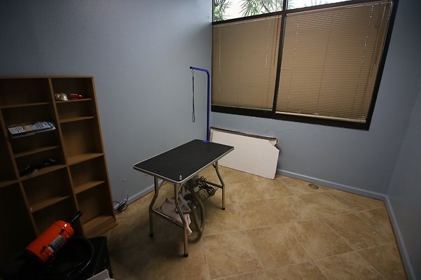 th IMG 4981 th IMG 4981