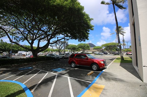 th IMG 4989 th IMG 4989