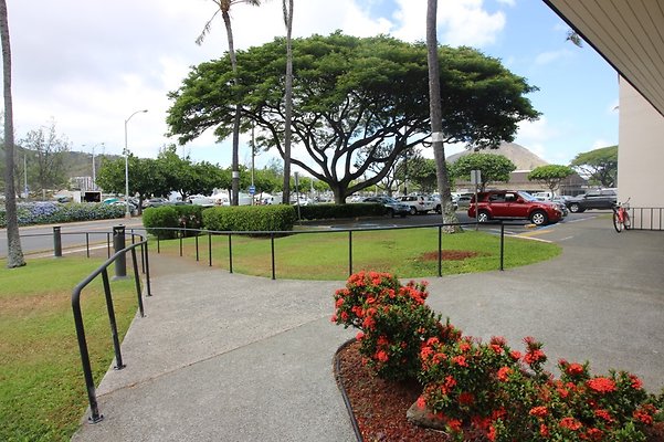 th IMG 4962 th IMG 4962