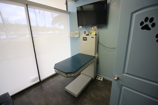 th IMG 4969 th IMG 4969