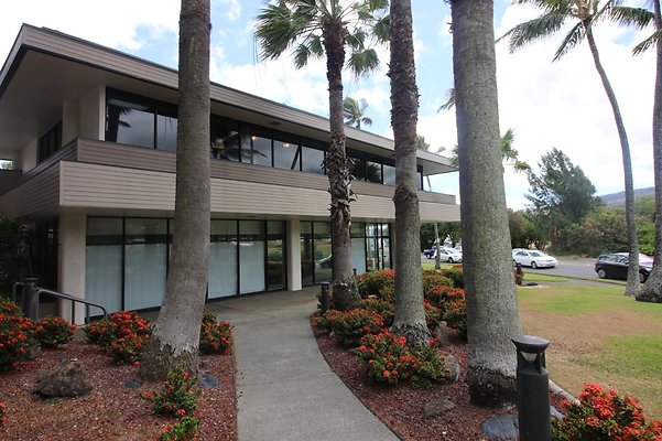 Hawaii Kai Surf Paws Joem 783 1590