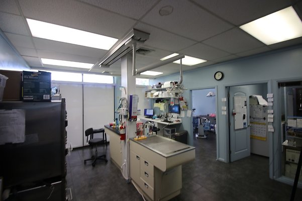 th IMG 4974 th IMG 4974