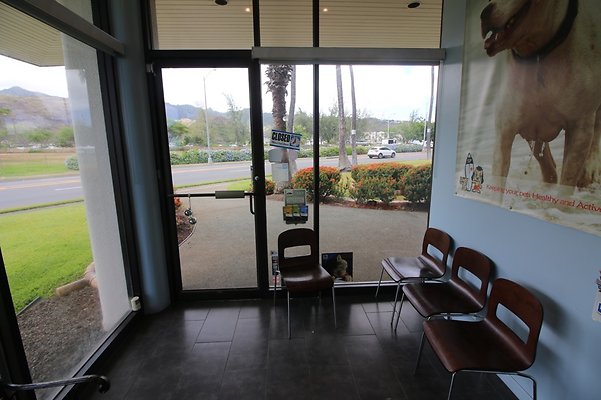 th IMG 4964 th IMG 4964