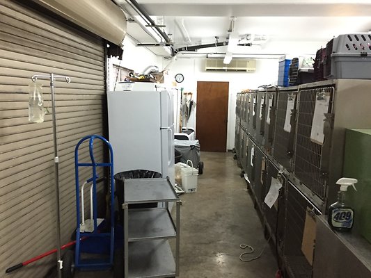 HI50 S6 2015-08-17 18.09.56