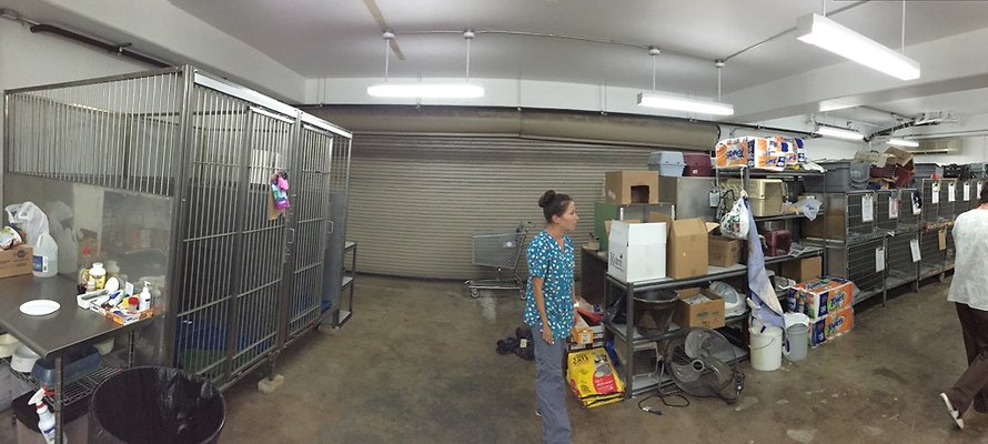 HI50 S6 2015-08-17 18.15.16