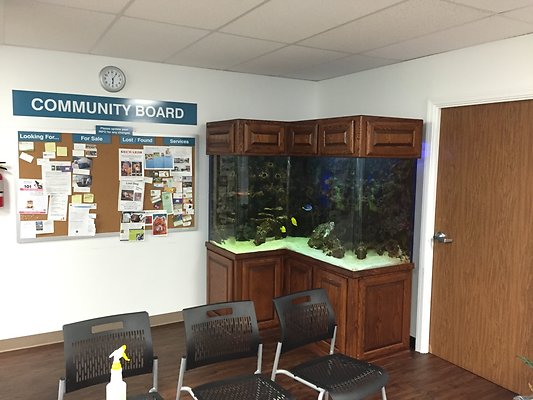 HI50 S6 2015-08-17 18.05.55