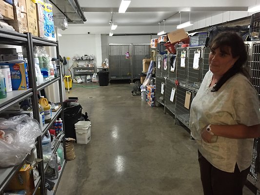 HI50 S6 2015-08-17 18.09.03