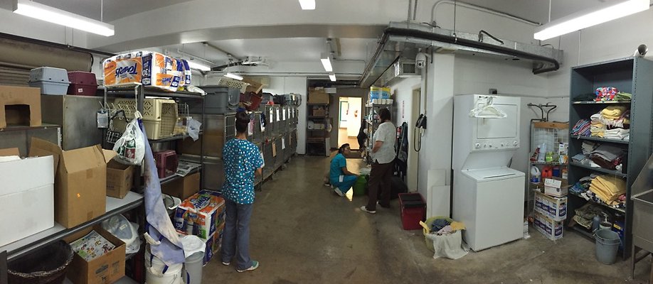 HI50 S6 2015-08-17 18.15.35