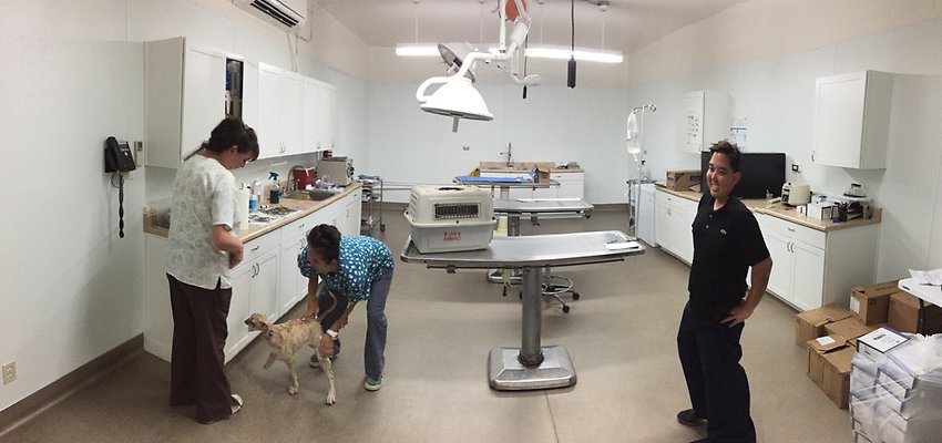 HI50 S6 2015-08-17 18.13.52