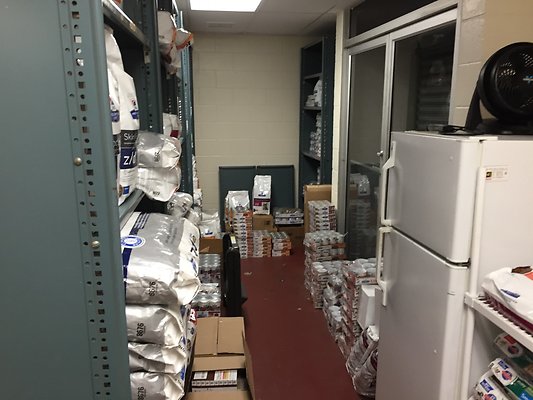 HI50 S6 2015-08-17 18.07.49