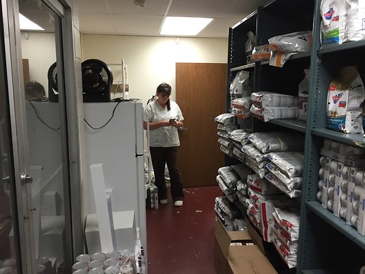 HI50 S6 2015-08-17 18.08.01