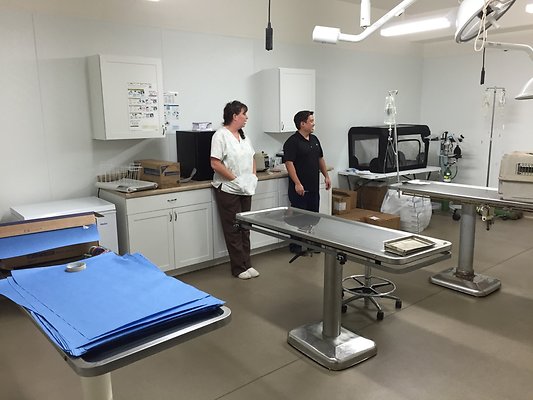 HI50 S6 2015-08-17 18.10.38