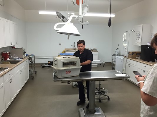 HI50 S6 2015-08-17 18.10.18