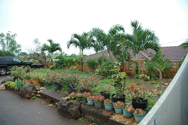 th DSC 6031 th DSC 6031