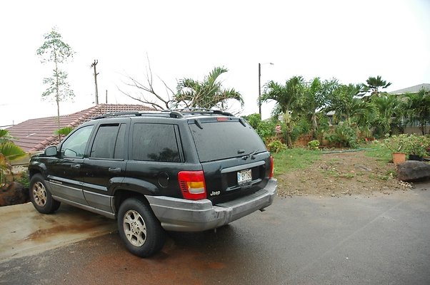 th DSC 6041 th DSC 6041