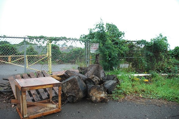 th DSC 6064 backgate th DSC 6064 backgate