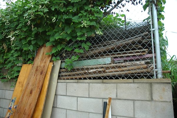 th DSC 6067 th DSC 6067