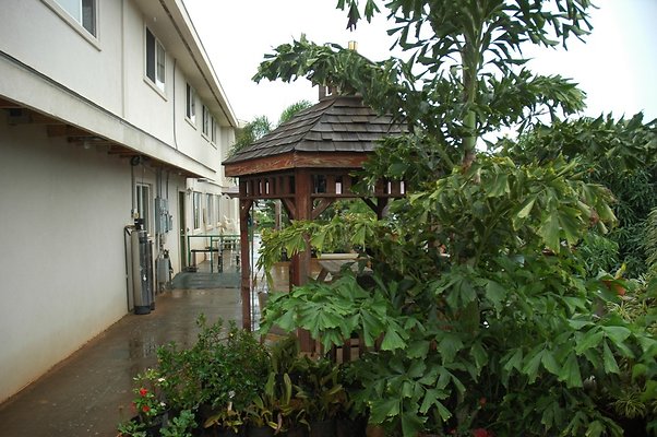 th DSC 6048 th DSC 6048