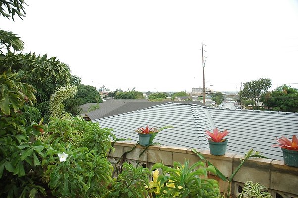 th DSC 6049 th DSC 6049