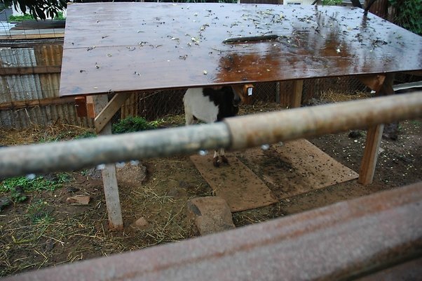 th DSC 6057 th DSC 6057