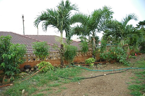 th DSC 6043a th DSC 6043a