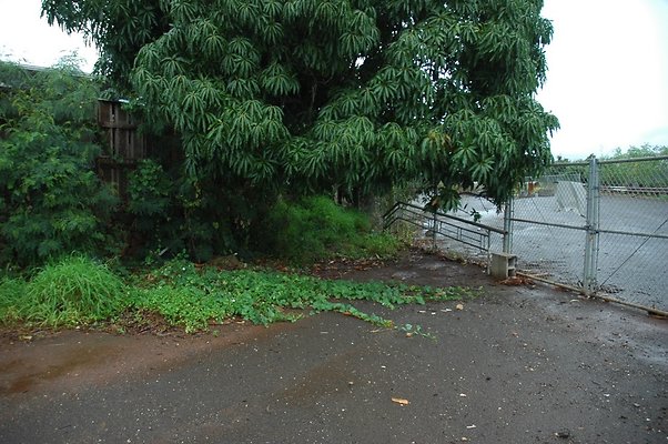 th DSC 6062 backgate th DSC 6062 backgate