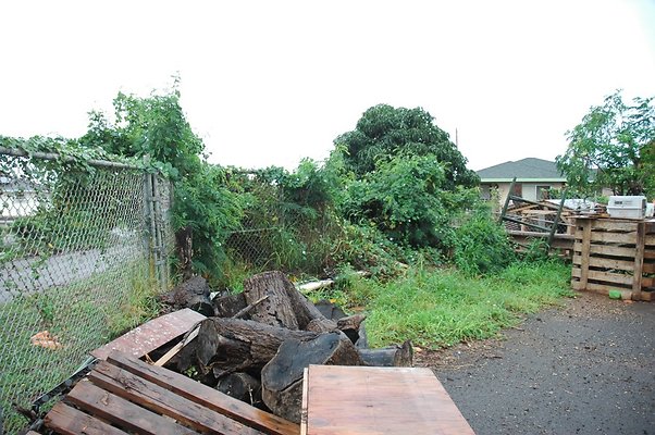 th DSC 6059 th DSC 6059