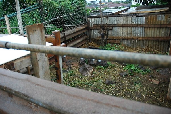 th DSC 6056 th DSC 6056