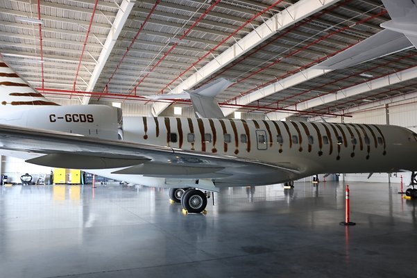 th IMG 9016 th IMG 9016